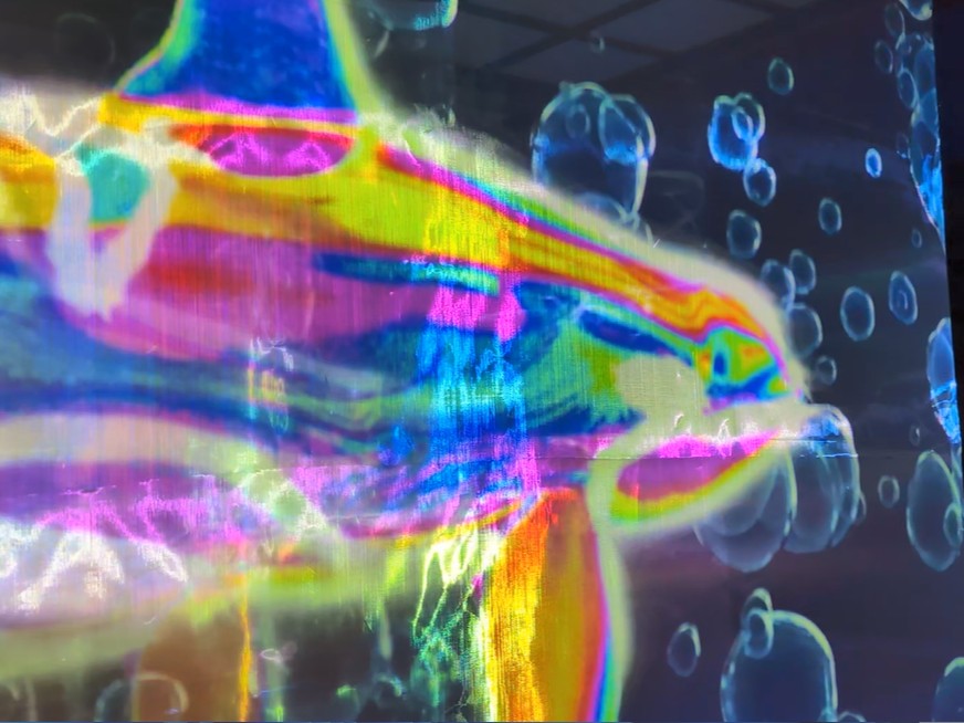 サンタマリアで海の中に!??
12/20(土)にサンタマリアの1階客室がリニューアルオープン!
まるで海中に漂うような空間演出をした没入型体験スペース「Santamaria Immersive Space」が新たに誕生します🐠🐟🐙🪼
船内では3つのショートコンテンツをご用意。
① 「Photon Wave」
地球上の様々な環境の海に生息する生き物たちを描き、世界旅行気分を楽しめる海中没入型コンテンツ
② 「Wonderful Marine World」
「海」か「宇宙」か?「マクロ」か「ミクロ」か?様々な色彩の光の波に満たされた不思議な空間
③ 「タコの兄弟を探せ!」
サンタマリアで人気のタコ探しをモチーフにした、映像内探索コンテンツ
そして、なんと!!
これらのコンテンツは追加料金なし!乗船料のみでお楽しみいただけます😍
船に乗りながら、大阪港の海の中に迷い込んで、その幻想的な世界をお楽しみください!!
#サンタマリア号 #大阪港 #海遊館
#大阪デート #大阪おでかけ #イマーシブシアター
#水都大阪 #大阪 #大阪観光 #大阪旅行
#関西 #関西旅行