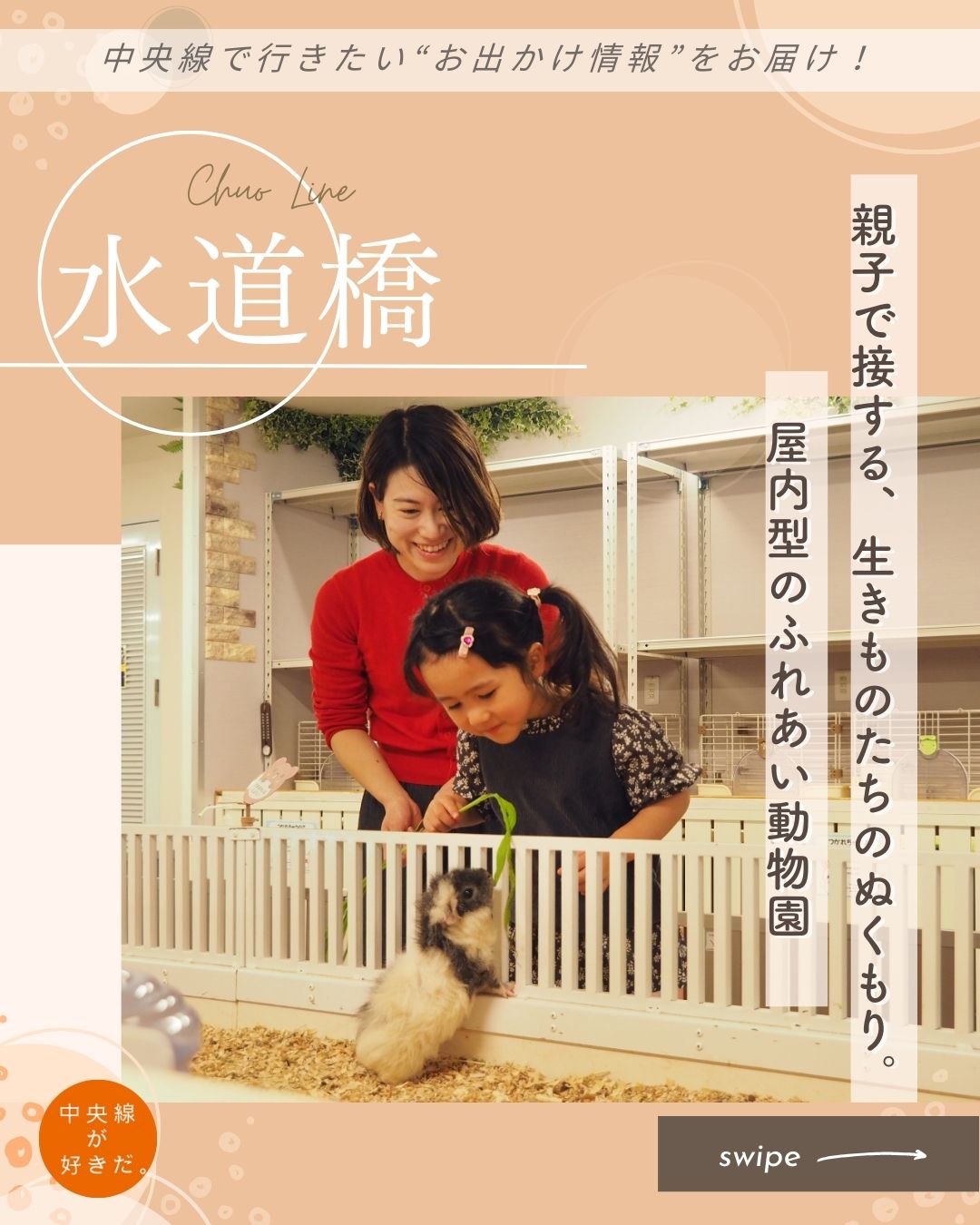 【#ウェルカムキッズ中央線】
アニタッチ 東京ドームシティ( @anitouchtokyodome_0729 )/ 📍水道橋駅・文京区
東京ドームシティ内、JR水道橋駅に近い「黄色いビル」の1階にある「アニタッチ 東京ドームシティ」。
色とりどりのかわいらしいエントランスの先で、まずは入園受付。動物におやつをあげてみたいなら、ぜひここでおやつ券も購入しておこう。
屋内型のふれあい動物園としては都内最大級で、50種300匹以上もの動物がいる。また、全国に展開する「アニタッチ」のなかでも、ミミナガヤギやハダカデバネズミ、ヨザルなど、この店舗にしかいない種類も多い。
ケージ越しにふれあえるだけでなく、園内の奥には動物たちが放し飼いになっているエリアもある。さまざまな動物たちが思い思いに過ごす空間は、意外な様子も見られてついつい夢中になる。種類によってさわってはいけない動物もいるので、スタッフの説明や注意書きをよく確認しよう。
*-*-*-*-*-*-*-*-*-*-*-*-*-*-*-*-*-*-*-*-*-*-*-*-*-*
〇JR中央・総武線水道橋駅西口から徒歩約2分
〇10時30分〜19時(土・日・祝は〜20時。最終受付は閉園の30分前)、無休(施設に準ずる)
〇東京都文京区後楽1-3-61 黄色いビル1F
*-*-*-*-*-*-*-*-*-*-*-*-*-*-*-*-*-*-*-*-*-*-*-*-*-*
記事の詳細は @chuosuki のプロフィール欄のURLから、中央線が好きだ。WEBサイトをご覧ください。
あなたが好きな中央線沿線のスポット・お店などがあれば、ぜひ #中央線が好きだ を付けて投稿してください♪
#中央線が好きだ #中央線 #ウェルカムキッズ中央線 #水道橋 #文京区 #東京都 #子供と遊ぶ #子供の遊び場 #アニタッチ東京ドームシティ #ふれあい動物園 #ミミナガヤギ #ハダカデバネズミ #ヨザル #親子で楽しむ #家族とお出かけ #子供とお出かけスポット #動物