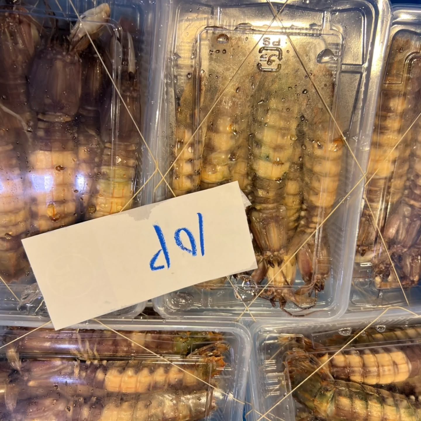 5/20(火)
📢【本日入荷!業者様向け厳選食材】📢
新鮮な海の幸が勢揃い🌟
厳選された逸品をお届けします。✨
オンラインショップで簡単注文!📲💻
新鮮食材をスムーズにお届けします🚚💨
📌オンラインショップはプロフィールのリンクから!
飲食店の皆さま、お見逃しなく!👀
#活アイナメ
#活穴子
#活皮ハギ
#活天然タイ
#ボイルシャコ海老
#貝ホタテ
#閖上赤貝
#岩カキ
#ムキガゼ