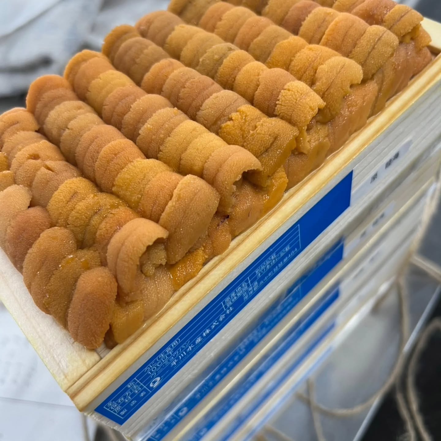 5/22(木)
📢【本日入荷!業者様向け厳選食材】📢
新鮮な海の幸が勢揃い🌟
厳選された逸品をお届けします。✨
オンラインショップで簡単注文!📲💻
新鮮食材をスムーズにお届けします🚚💨
📌オンラインショップはプロフィールのリンクから!
飲食店の皆さま、お見逃しなく!👀
#板ウニ
#天然タイ
#真鯖
#閖上赤貝
#岩牡蠣
#活皮ハギ
#北海つぶ
#白ミル貝
#ムキガゼ