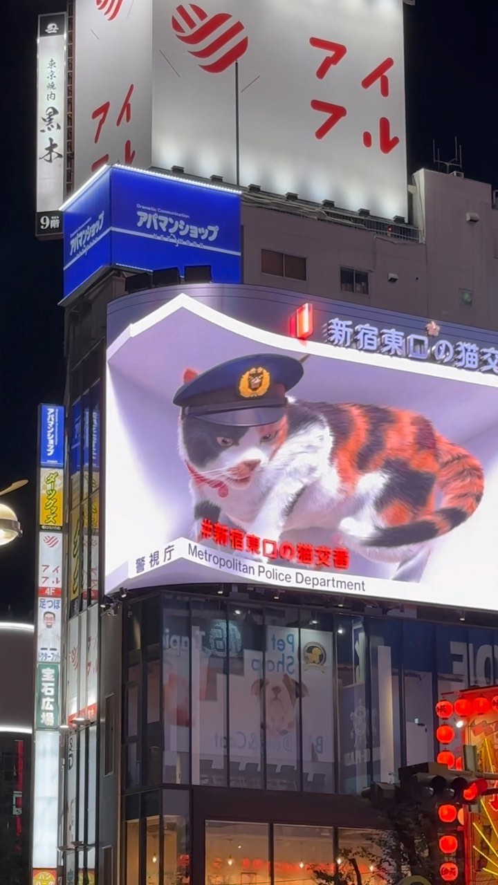 Going to Shinjuku? This 3D cat is a must-see!
#japankuru #shinjuku3dcat #3dcat #kabukicho #新宿 #신주쿠 #신주쿠3d고양이 #新宿3d猫 #japanesekawaii #japantravel #shinjukutokyo #shinjuku #japaneseculture #japanesecat