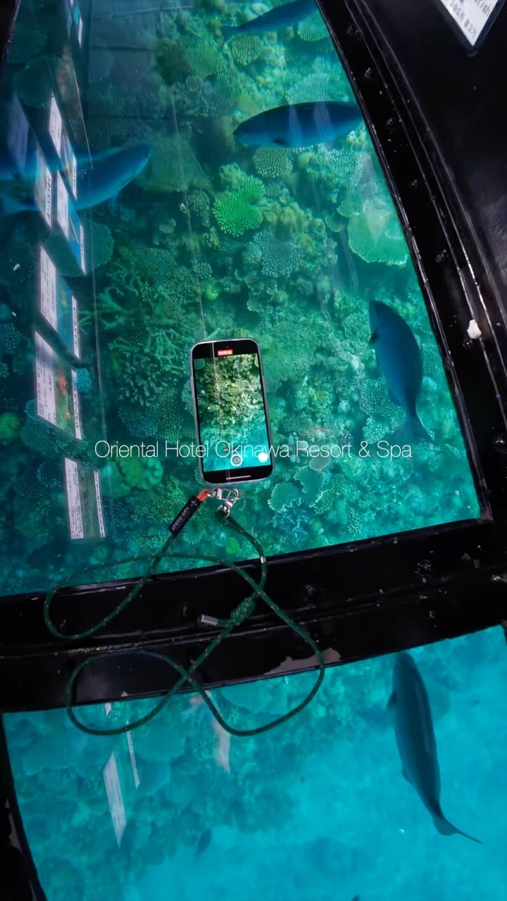 #orientalhotelokinawaresortandspa #japankuru #okinawa #kariyushi #kariyushibeach #glassbottomboat #waterland #bananastyledragonboat #dragonboat #orientalhotelokinawa #오리엔탈호텔오키나와리조트앤스파 #오키나와 #오키나와다이빙 #오키나와호텔 #오키나와맛집 #沖縄 #沖縄旅行 #okinawacocktail #카리유시비치리조트 #가리유시비치