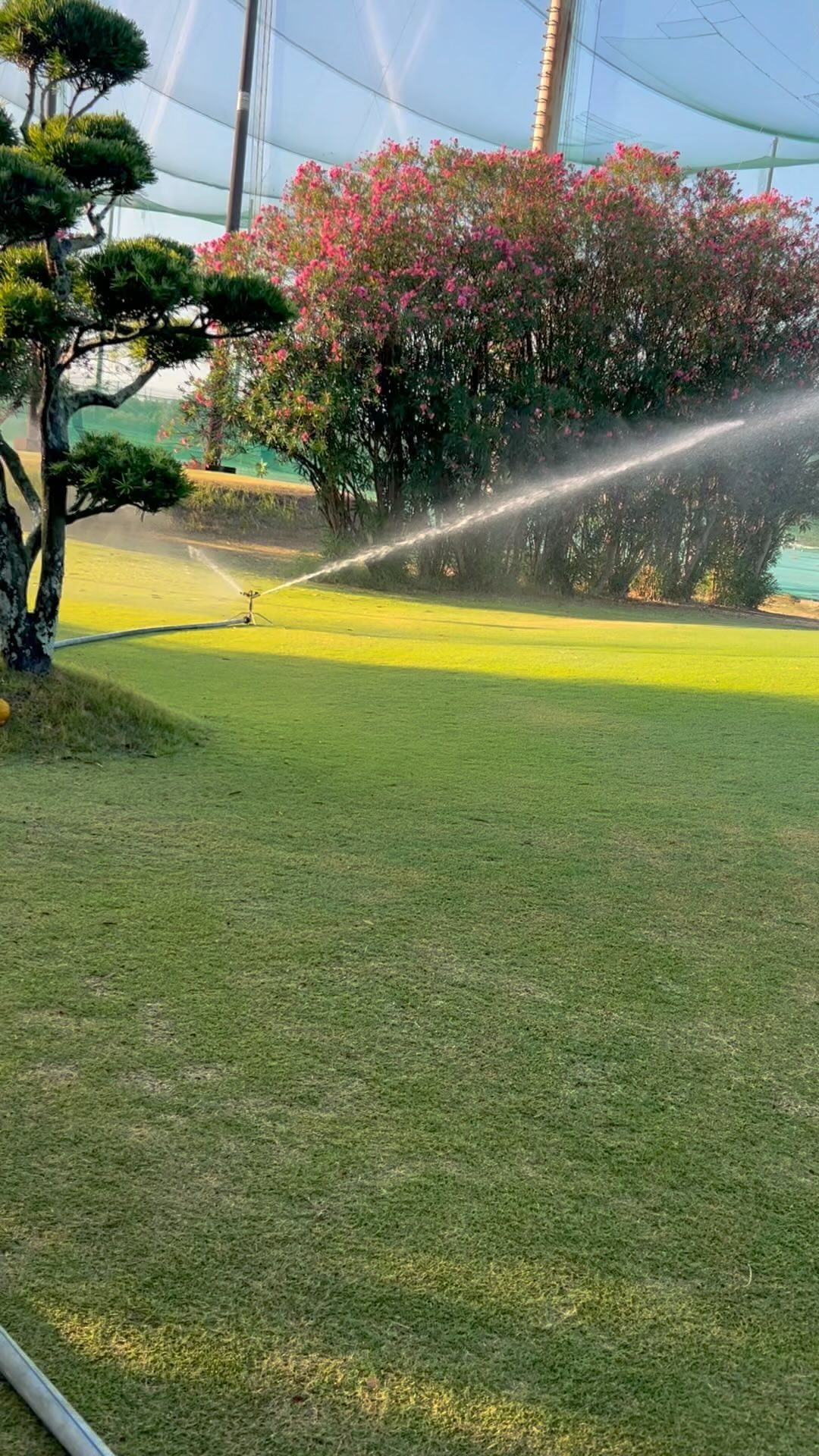 おはようございます‼︎
連日の暑さで芝も泣いてます😂
コース管理の方々、
毎日朝早くから水撒きありがとうございます😊
プレー中、お邪魔かと思いますがご理解の程よろしくお願いいたします😵
#浜松ビーチサイドゴルフ倶楽部
#浜松ショートコース
#浜松ゴルフ
#ゴルフコース
#ゴルフレッスン
#水撒き