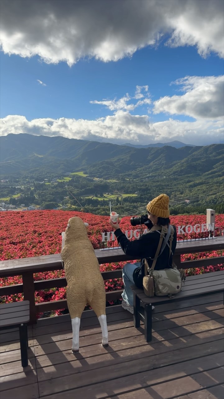 It’s Kochia Season in Japan
#japankuru #kochia #코키아 #コキア #hiruganokogen #히루가노고원 #기후 #gifu