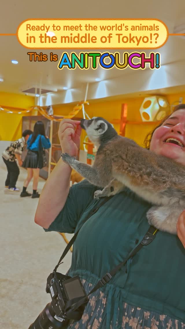 A New Tokyo Animal Destination: Relax & Learn About the World’s Animals in Japan
#pr #japankuru #anitouch #anitouchtokyodome #capybara #capybaracafe #animalcafe #tokyotrip #japantrip #카피바라 #애니터치 #아이와가볼만한곳 #도쿄여행 #가족여행 #東京旅遊 #東京親子景點 #日本動物互動體驗 #水豚泡澡 #東京巨蛋城 #เที่ยวญี่ปุ่น2025 #ที่เที่ยวครอบครัว #สวนสัตว์ในร่ม #TokyoDomeCity #anitouchtokyodome