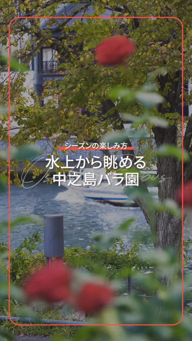 中之島にバラが咲きました!
=====================
秋バラのシーズンがやってきて、中之島公園のバラ園にもたくさんの人が訪れています🌹
アクアライナーの船内からもバラをご覧いただけるので、ゆっくりと季節を感じていただくことができます。
また、バラ園を散策している方がとっても楽しそうに手を振ってくださるので、こちらも思わず笑顔で手を振り返してしまいます🤗
これもこの時期ならではの船の楽しみ方ですね!
=====================
アクアライナーでは本日11/19より「淀屋橋港」への寄港を再開しました✨✨
京阪電車•OsakaMetro御堂筋線 淀屋橋駅直結で
アクセス抜群の港です。
バラ園へも徒歩約10分の距離ですので、ぜひ中之島散策の際は淀屋橋港をご利用ください🚢
【淀屋橋港の運航時間】
10:20〜16:20の間、毎時20分出航
※16:20発は、大阪城港までの区間乗船のみとなります。
※淀屋橋港ではキャシュレス決済のみ可能です。(現金支払いはご利用いただけませんので、予めご了承ください。)
■そのほか、詳細はプロフィール欄のURLから公式ホームページをご覧ください
