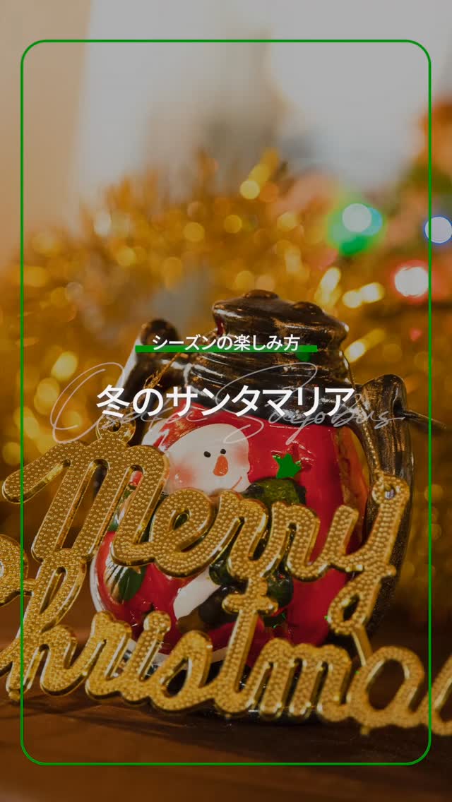 あったかスープと冬のクルーズ❄⛄️
======================
冬の水辺は寒い💦💦
確かに寒いのですが、サンタマリアまでお越しいただければ、あったいスープや、暖房が効いたあったかいお部屋、天気のいい日はあったかい日差しなど、冬でも快適に過ごせるアレコレをたくさんご用意しています☀
明日からはクリスマストワイライトクルーズも運航します!
===================
【運航時間(1/12まで)】
平日:11:00〜16:00の間、毎時00分出航
土日祝:11:00〜17:00の間、毎時00分出航
🎄12/23〜25は、11:00〜15:00の間、毎時00分出航のデイクルーズと、16:30発、18:30発のクリスマストワイライトクルーズを運航します。
✨12/31は、14:00〜16:00の間、毎時00分出航のデイクルーズと、23:30発のカウントダウンクルーズを運航します。
【料金】
大人 1,600円
こども(小学生)800円
⚠️クリスマストワイライトクルーズや、カウントダウンクルーズは料金が異なります。
⚠️12月中の平日16:00便は、トワイライトクルーズ(約60分クルーズ)となりますので、料金は大人2,300円、こども1,150円となります。
【乗り場】
海遊館西はとば
🚃OsakaMetro中央線 大阪港駅 下車 徒歩約10分
