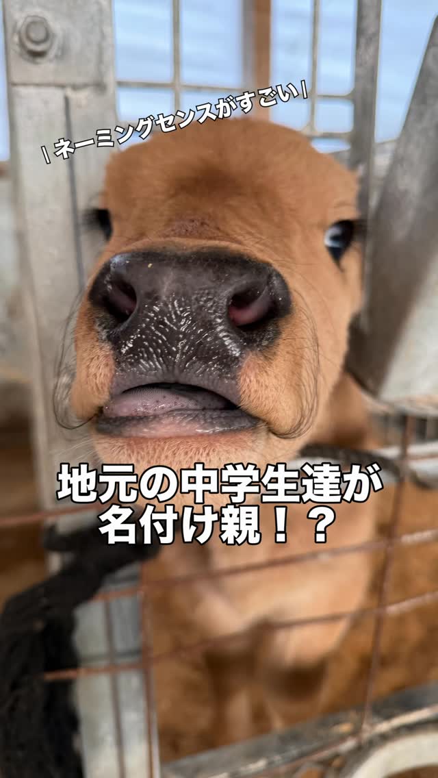 出前授業✏️
#名付け親 #ネーミングセンス #つのちく #食育