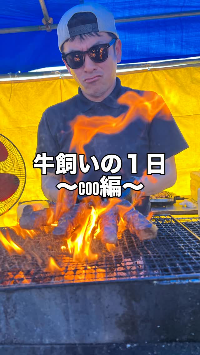 牛飼いの1日〜coo編〜
#一緒に働く仲間大募集 #求人 #畜産 #つのちく