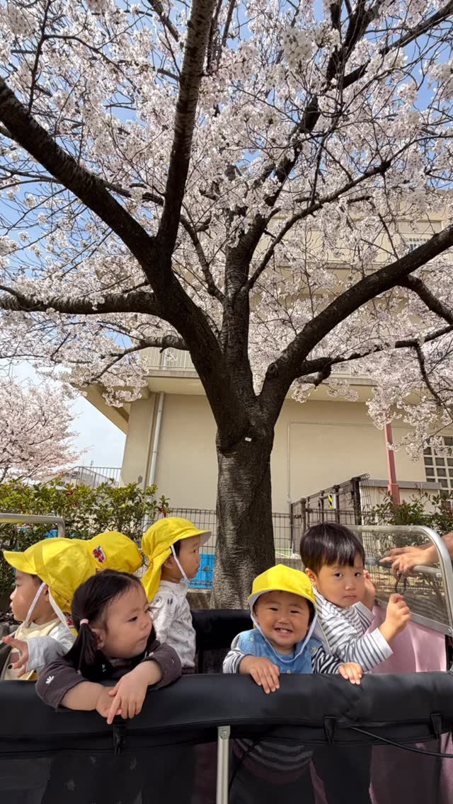 たんぽぽさん新年度がスタートしました♫
入園当初、ママやパパと離れる度大泣きだった新入園児さんも今では好きな遊びを見つけてご機嫌で過ごせるようになりました♫
お友だちが泣いているとヨシヨシしに行ったりティッシュを取りに行ってあけだりと優しくて頼もしい在園児さん😊
友だちの名前も覚えて名前を呼ぶ姿も♫
さぁどんな1年になるかな😊⁇
#同朋福祉会
#小規模保育園
#たんぽぽ
#灘区
#子育て
一時保育
施設見学随時受付中