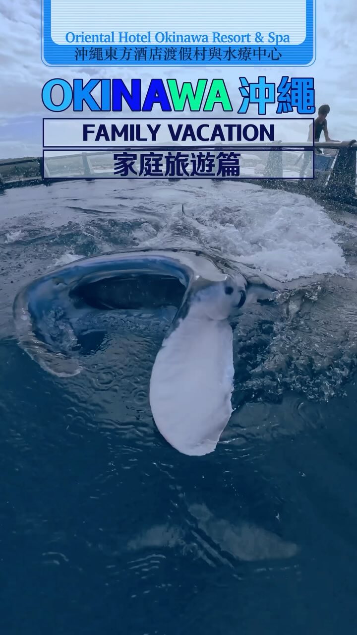 There’s nothing like a day on the brilliant blue seas of Okinawa - especially on a Manta & Shark Observation Tour!
被沖繩海景環繞的一天~還參加了觀察魟魚和鯊魚飼育的行程!
#okinawa #okinawatrip #okinawajapan #orientalhotelokinawaresortandspa #japantrip #japankuru #오키나와 #오키나와여행 #오키나와호텔 #호텔수영장 #가족해외여행 #沖繩旅遊 #沖繩度假 #沖繩東方酒店渡假村與水療中心 #沖繩體驗 #โอกินาว่า #ญี่ปุ่น #เที่ยวญี่ปุ่น #โรงแรม #พักผ่อน