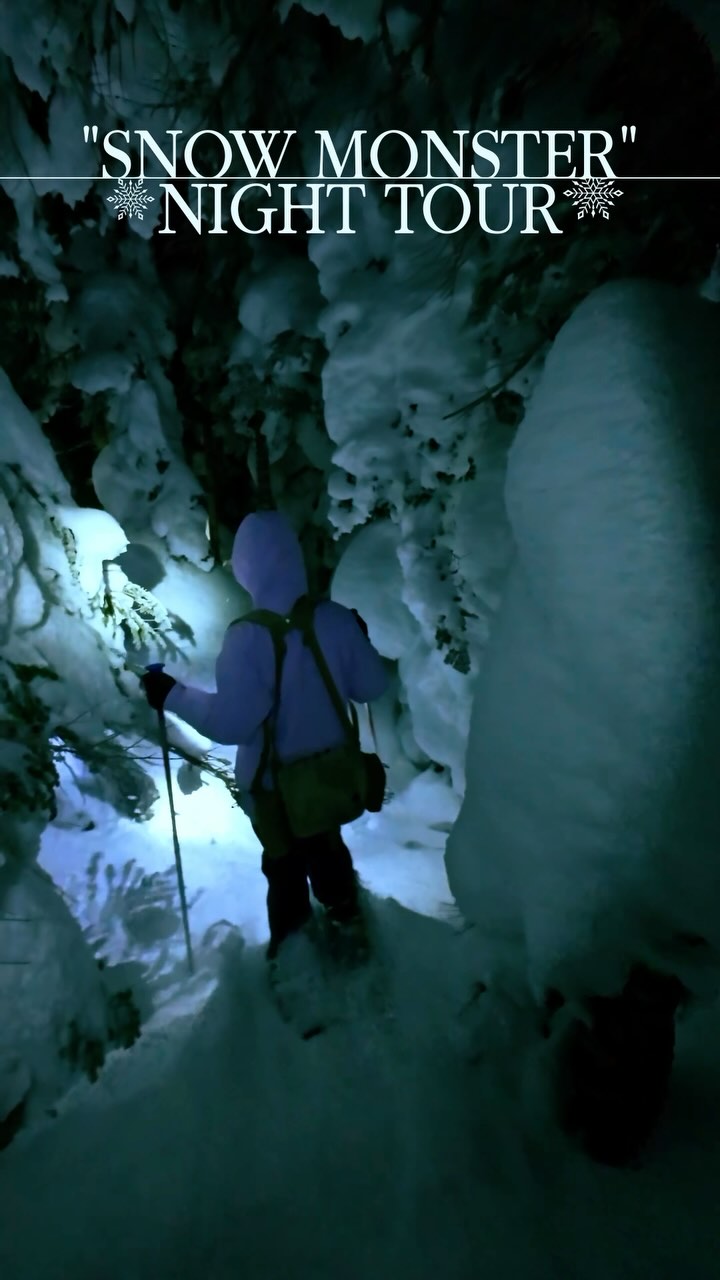 SHIGA KOGEN SNOW ADVENTURES
#shigakogen #snowmonkey #snowmonster #snowshoes #nagano #japantrip #시가고원 #겨울스포츠 #일본원숭이 #스키스타그램 #나가노 #스노우슈즈 #상고대 #志賀高原 #長野雪猿 #雪鞋健行 #日本冬季旅遊 #日本樹冰 #เที่ยวญี่ปุ่น #หิมะ #รองเท้าลุยหิมะ #นากาโน่ #ออนเซ็นลิง #志賀高原 #志賀高原スキー場