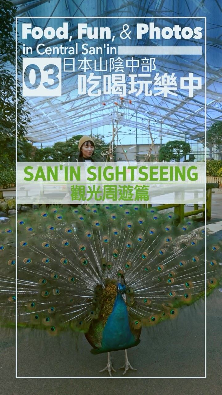 Food, Fun, & Photos in Central San’in
San’in Sightseeing
日本山陰中部吃喝玩樂中
觀光周遊篇
#japankuru #shimane #tottori #shimanespot #tottorispot #sake #japanesewine #japanesewinery #島根旅遊 #鳥取旅遊 #島根景點 #鳥取景點 #日本山陰