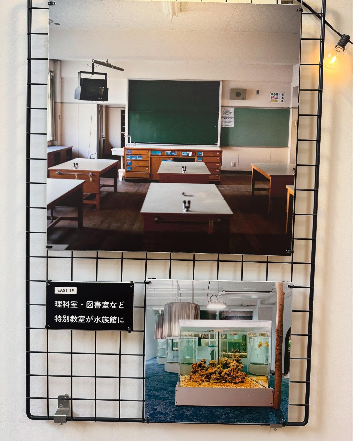 【おじょーのオススメ兵庫】
行ったことある!?
小学校を改装してできた
「懐かしい×楽しい」 水族館!
📍 みなとやま水族館 🐟✨
@minatoyama_jp
娘と何度行っても飽きない…
友達にも「そんなに⁉😂」って言われるくらい
推してます!
💡 おじょーの推しポイント 💡
✅ 小さなあの椅子に座って眺める水族館 🪑🐠
水槽は低めの位置にあって、子どもたちも見やすいよ!
ぼーっと眺めてると癒されます♡
✅ チンアナゴになれる⁉ 🫣
靴を脱いではいるスペースでは子どもたち大喜び😂
✅ ナマケモノや鳥たちと柵なしゼロ距離でご対面🦥
ご飯中のナマケモノが見られたら超ラッキー🍀
✅ 釣ったニジマスをその場でサクッとフライに!
頭から尻尾まで丸かじり!お昼ご飯はこれでOK
✅ 給食室がクラフトビール工房に!?
窓から覗いてみてね👀✨
@openair.brewing のユニークなビールが飲めるよ
ニジマスフライと一緒に食べたらもう最高🍻🤭
✅ めちゃくちゃいい香りのハーブ屋さん🌿
自家製ハーブティーも絶品😋
毎日ワークショップも行ってるから覗いてみてね
@herbshop.naturestudio
ちょっとアクセスが悪いので、
タクシーで行くのがオススメ🚖
❥-❥-❥-❥-❥
#神戸 #kobe #みなとやま水族館 #水族館巡り #水族館好き #神戸観光 #兵庫観光 #子どもとお出かけ #ファミリー旅行 #週末のお出かけ #おじょーのオススメ兵庫
#観光タクシー #貸切タクシー #旅行好きな人と繋がりたい