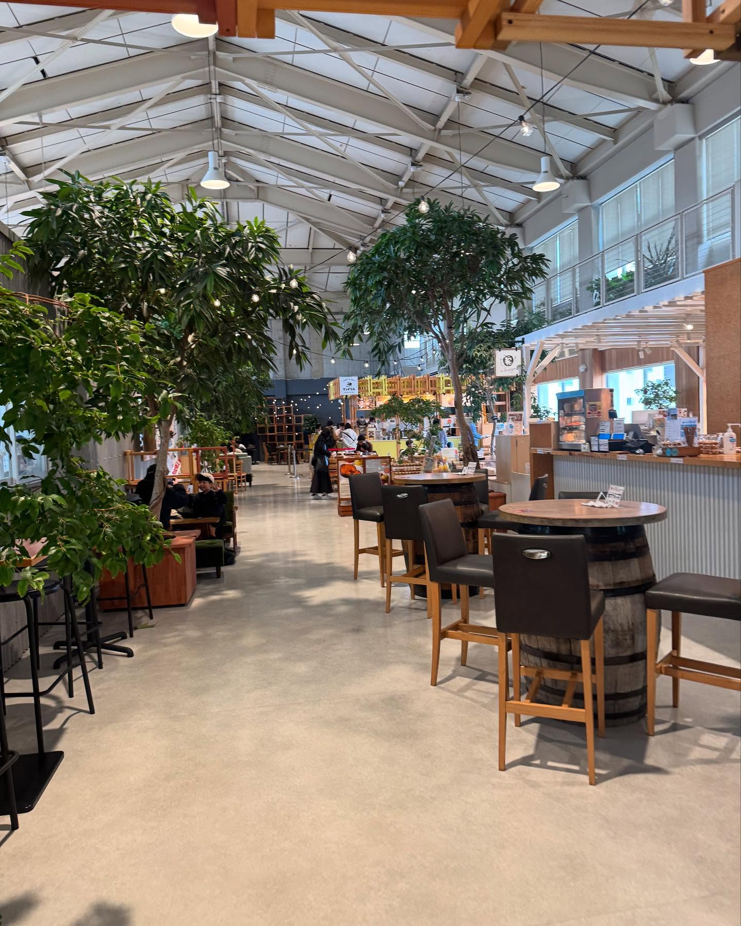 【おじょーのオススメ兵庫】
行ったことある!?
小学校を改装してできた
「懐かしい×楽しい」 水族館!
📍 みなとやま水族館 🐟✨
@minatoyama_jp
娘と何度行っても飽きない…
友達にも「そんなに⁉😂」って言われるくらい
推してます!
💡 おじょーの推しポイント 💡
✅ 小さなあの椅子に座って眺める水族館 🪑🐠
水槽は低めの位置にあって、子どもたちも見やすいよ!
ぼーっと眺めてると癒されます♡
✅ チンアナゴになれる⁉ 🫣
靴を脱いではいるスペースでは子どもたち大喜び😂
✅ ナマケモノや鳥たちと柵なしゼロ距離でご対面🦥
ご飯中のナマケモノが見られたら超ラッキー🍀
✅ 釣ったニジマスをその場でサクッとフライに!
頭から尻尾まで丸かじり!お昼ご飯はこれでOK
✅ 給食室がクラフトビール工房に!?
窓から覗いてみてね👀✨
@openair.brewing のユニークなビールが飲めるよ
ニジマスフライと一緒に食べたらもう最高🍻🤭
✅ めちゃくちゃいい香りのハーブ屋さん🌿
自家製ハーブティーも絶品😋
毎日ワークショップも行ってるから覗いてみてね
@herbshop.naturestudio
ちょっとアクセスが悪いので、
タクシーで行くのがオススメ🚖
❥-❥-❥-❥-❥
#神戸 #kobe #みなとやま水族館 #水族館巡り #水族館好き #神戸観光 #兵庫観光 #子どもとお出かけ #ファミリー旅行 #週末のお出かけ #おじょーのオススメ兵庫
#観光タクシー #貸切タクシー #旅行好きな人と繋がりたい