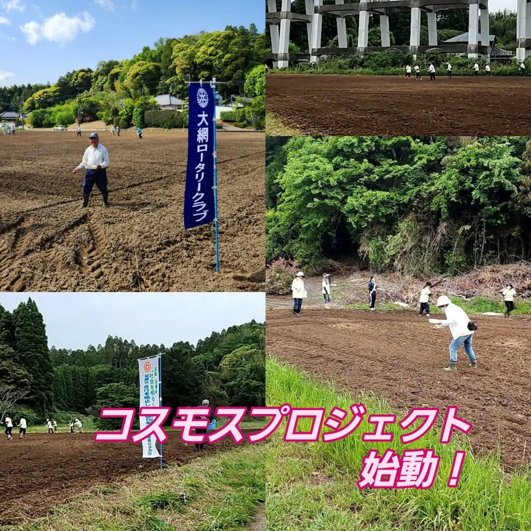 「コスモスプロジェクト」始動!大網白里市の市の花といえば「コスモ....