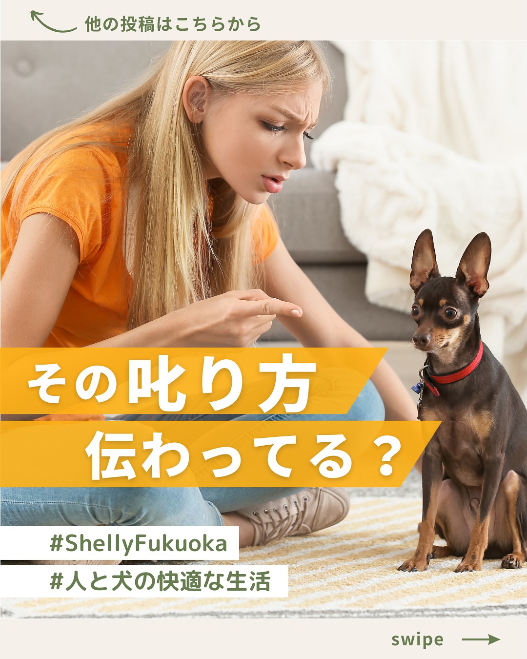 感情で怒らず、冷静に指示する
【フォローはここから▶ ︎ @shelly_fukuoka2 】
わんちゃんの「叱り方」は、
信頼関係を守りながら問題行動を改善する
欠かせない要素です。
ただ、忘れてはいけないのが
わんちゃんに人間の言葉は分かりません
学習はしますが、
文章を理解できません。
そして、行動と言葉を繋げることはできません。
例えば人間の子供だと、
壁に落書きをしてしまったとして
後に「壁に落書きなんてしたらダメでしょ!」と
叱られるとします。
すると、子供の頭では
「壁に絵を描く」→怒られること
として解釈できます。
でもわんちゃん達はそれが苦手なんです…
その為、叱る時のポイントは
・叱るのは必ず行動中に
・低く短い声で「ダメ」と伝える
・身体的罰や怒鳴り声は逆効果
・叱った後は正しい行動を褒めて学習を定着させる
叱りとは「怒ること」ではなく、「意図を伝えること」。
この基本を守ることで
わんちゃんは安心して学び
飼い主様との絆もより深まります。
👉 信頼関係を壊さずに、しっかりしつけをしていきましょう。
⢀⢄༶⢀⢄༶⢀⢄༶⢀⢄༶⢀⢄༶⢀⢄༶⢀⢄༶⢀⢄༶⢀ ⢀⢄༶⢀⢄༶⢀⢄༶
いぬのケアハウス シェリーFukuokaでは
☆お預かり(短時間〜長期まで)保育園・介護
☆シャンプー&トリミング
☆しつけ個別相談、しつけ教室
☆パピーパーティ(パピー交流会)※不定期
を提供しております!
※サービスご利用には
ご予約を必ずお願いしております。
初回は環境に慣れていただくため
短時間や、日帰りステイをオススメしております♪
【フォローはここから▶ ︎ @shelly_fukuoka2 】
事前にご連絡頂ければ
室内をご見学する事も可能です🐶
お問い合わせは、
InstagramのDM、公式LINE、ホームページより
お願い致します✉️🕊𓂃𓈒 𓂂𓏸
Instagram ▶︎▷▶ 「問い合わせ」とDM✉ ͗ ͗
公式LINE ▶︎▷▶ プロフィールのハイライトから♪
ホームページ▶︎▷▶ プロフィールのリンクから!
⢀⢄༶⢀⢄༶⢀⢄༶⢀⢄༶⢀⢄༶⢀⢄༶⢀⢄༶⢀⢄༶⢀ ⢀⢄༶⢀⢄༶⢀⢄༶
◾︎店舗情報
店舗名: いぬのケアハウス シェリーふくおか
住所 : 福岡県糟屋郡新宮町原上1733−1
#いぬのケアハウス #ペットホテル #犬の保育園
#老犬介護 #しつけ #トリミング
#ケージレス #24時間スタッフ常駐
#犬のいる暮らし #老犬との暮らし