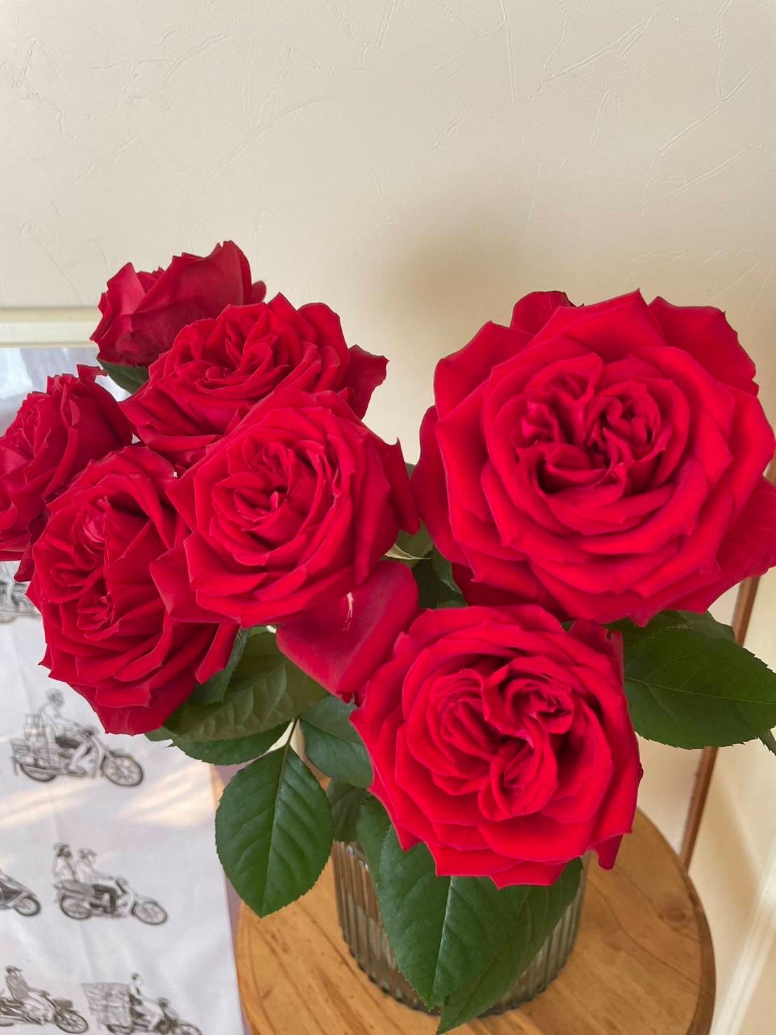 クリスマスシーズンにおすすめの赤バラを紹介します🎄
品種名 レッドエレガンス
クラシカルな花形が印象的なレッドエレガンス。
深紅の華やかさと凛とした気品をあわせ持つ、その姿はまさに“クリスマスの主役級”の赤バラです🎄✨
冬場でも色が沈まず、鮮やかなまま美しく咲くのがこの品種の魅力。
大輪でボリュームも安定しているので、ホリデーシーズンのアレンジやギフトにもぴったりです。
重なり合うロゼットが、まるでクリスマスオーナメントのようにエレガント。
特別な冬のシーンを、よりドラマチックに彩ってくれる一本です🌹✨
#レッドエレガンス
#赤バラ
#大輪バラ
#クラシカルローズ
#ロゼット咲き
#フラワーアレンジ
#冬の花
#クリスマスフラワー
#フラワーギフト
#ひまわり農協
#バラ部会