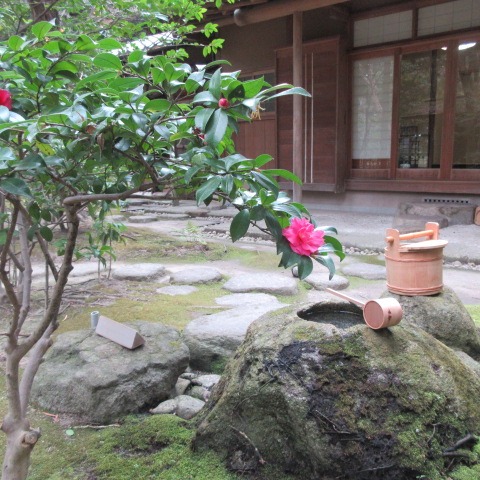 *
「初釜(はつがま)」
雪がちらつく冷たい朝となりましたね。
皆さま、おかわりございませんか…
「初釜」とは新しい年を迎えて、最初に開らくお茶会です。
社中様による「初釜」の様子を撮らせていただきました。
お軸は「春入千林處々花(はるは せんりんにいる しょしょのはな)」
春の光は至るところに広がり、花々はその蕾をひらかせます、という意味が込められています。
短冊は「春光生福澤(しゅんこうふくたくをしょうず)」
春の光のように温かい恵みが、生きとし生けるもの全てに幸福と繁栄をもたらす、という意味が込められています。
緊張感のある素晴らしい「初釜」でございました。
社中の先生、皆様、ご協力ありがとうございました。
(写真はご承諾を得、掲載しております)
…楽水園より
#楽水園
#rakusuien
#福岡観光
#日本庭園
#JapaneseGarden
#茶室
#都会のオアシス
#博多
#住吉