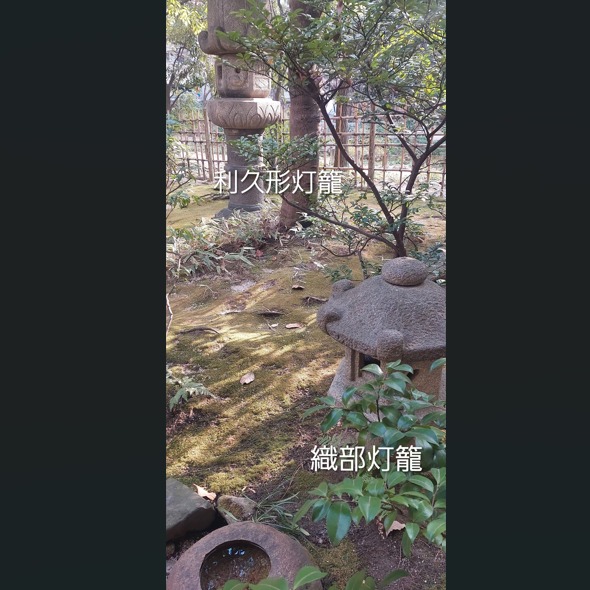*
「楽水園の石灯籠 第2弾」
今日は楽水園で一番小さい石灯籠を紹介します。
かわいいでしょう。
織部灯籠といいます。
一番大きな石灯籠とこんなに大きさが違います。
楽水園には他にもいろんな種類の石灯籠があります。
皆さんに是非ご来園お待ちしてます。
…楽水園より
#楽水園
#rakusuien
#福岡観光
#日本庭園
#JapaneseGarden
#茶室
#都会のオアシス
#博多
#住吉