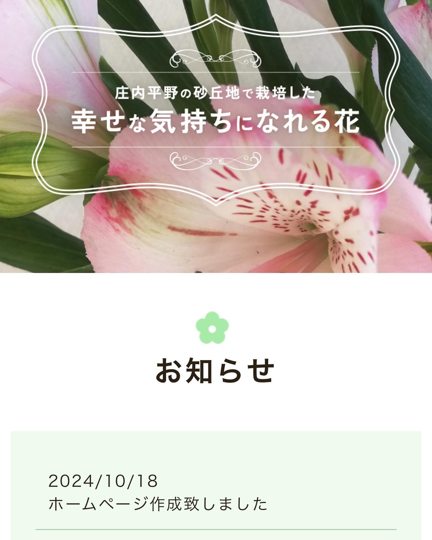 ホームページ
https://hanafarm2022.com/
作成に伴いInstagramも始めました
随時花の写真、情報載せていきますので
今後ともよろしくお願いします