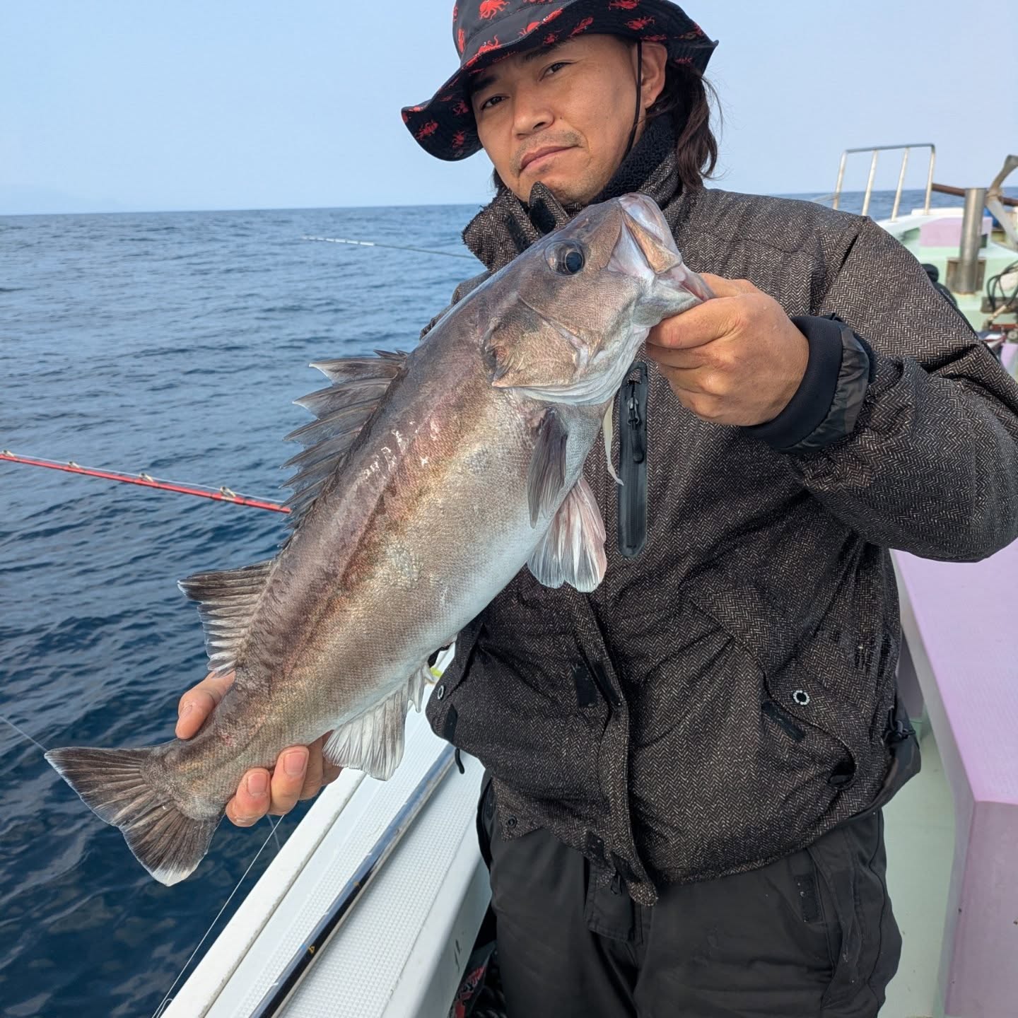 アラ狙い。
アラ55センチまでを7本。
他、がしら、ソイ、ブリ、マフグ多数。
後半は潮が更に速くなり、底も取りにくくオマツリだらけになってしまいました😭😭
#若狭湾
#新幸丸
#アラ狙い
#中深海
#マフグ