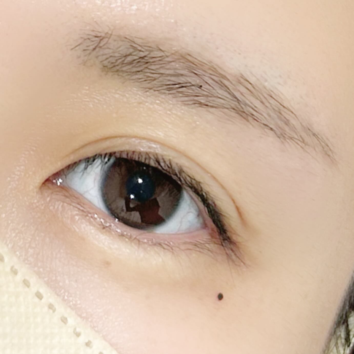 instagramの画像