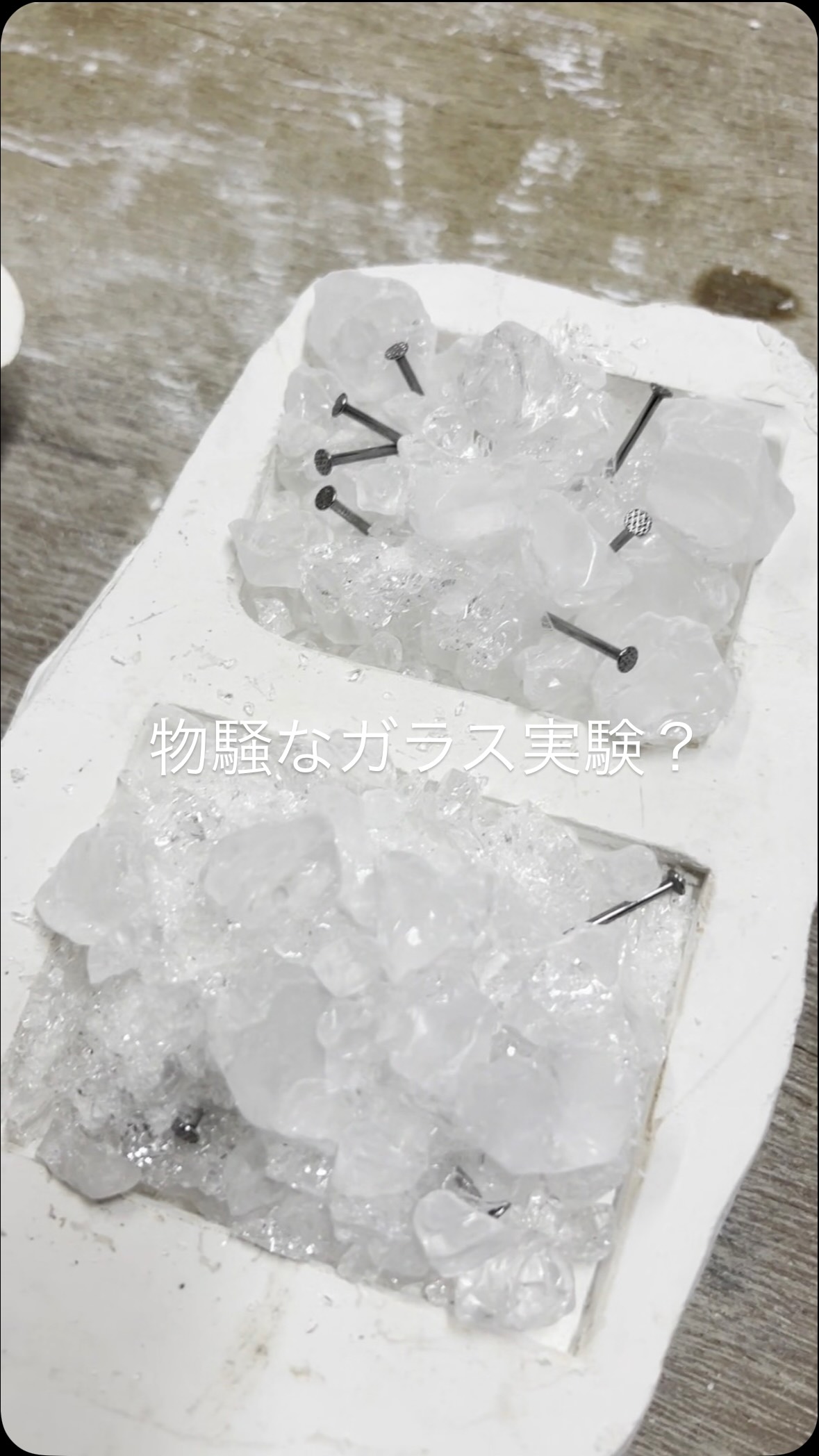 ガラスに鉄や銅を入れると、色が付くらしく実験をしています!果たして上手くいくのか、、、🌟ガラス職人・ガラス作家に興味がある方へ東京ガラス工芸研究所は、1981年に日本初のガラス専門の教育機関として創立し、これまで国内外で活躍する職人や作家を多数輩出してきました。全国から集まる仲間とともにゼロから技術を身につけ、ガラスのプロを目指しませんか?■学べる技法は10種類以上 ガラス業界で求められる幅広いスキルを未経験から習得■週5日間、年間1,100時間を超える濃密な授業■教科専任講師と常勤スタッフによる徹底指導■1,000人以上の卒業生とのネットワークによる強力な就職支援体制■卒業生主宰の工房は国内外に100か所以上■国内でただ一つ 働きながら学べる「夜間コース」🌟プロ養成コース|募集要項【全日制】■修業年限基礎科1年、応用科1年■入学資格高卒以上■募集定員20名■出願受付期間ホームページでご確認ください。【夜間部】■修業年限基礎科2年、応用科1~2年■入学資格高卒以上■募集定員10名■出願受付期間ホームページでご確認ください。____東京ガラスの雰囲気を知りたい!____🌟オープンキャンパスで雰囲気を知ろう!・参加費無料・ガラス制作の作業を体験できる!・校内ツアー、学校説明、質疑応答あり・ご家族ご友人の同行OK・個別相談歓迎開催スケジュール・お申し込みは【ホームページ>オープンキャンパス】から!🌟個別学校見学、随時実施中!・参加費無料・マンツーマン・校内ツアー、学校説明実施・自分のペースで質問や相談が可能・ご家族ご友人の同行OK平日随時実施中!【ホームページ>✉ボタン>その他お問い合わせ>個別学校見学お申し込み】からご希望日時をお知らせください!#東京ガラス工芸研究所 #ガラス作家 #ガラス実験 #ポッドキャスト