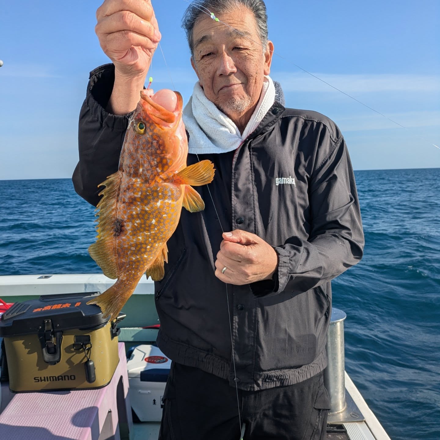 活きエサ便。
今日のエサはいつもよりマシでした⤴️
少しアコウのサイズも良かったような😅
アコウ25〜42センチ74匹
ガシラ69匹
マトウダイ1匹。
#新幸丸
#活きエサ
#ノマセ釣り
#根魚
#アコウ