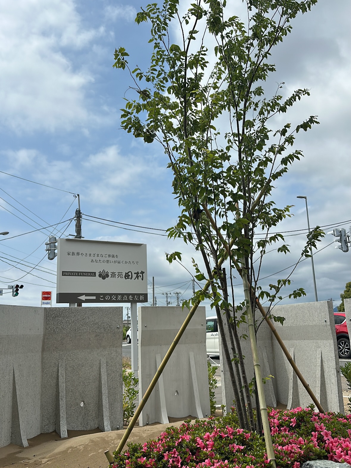 .
.
.
外構に植栽をしてから、約1か月。
まだ完成ではありませんが
ツツジが花を咲かせてくれました。
毎日水をあげていると
小さな変化や季節の移ろいを感じます。
つい、その成長に一喜一憂してしまいます。
最近は事前相談や式場見学に
お越しいただく機会も増えてきました。
「まだ先のことだから…」と思われる方も多いですが
気になることがありましたら
いつでもお気軽にお声がけください。
#西蒲区葬儀
#西蒲区家族葬
#斎苑田村
#田村花や
#サツキツツジ