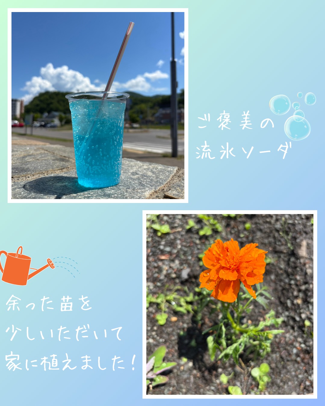 【🌱花植えボランティアに参加🎉】
こんにちは🤗
土橋工業です!
斜里町ウトロの沿道にマリーゴールドを植えるボランティア活動へ参加しました🥰
この日は気持ちのいい快晴☀️
マリーゴールドのオレンジ色がよく映えました🧡
地域の皆さんや観光で訪れる方々も、
花を通して少しでも明るい気持ちになっていただけたら嬉しいです😻
余った苗は持ち帰りOKだそうで、家にも植えてみました!🌱
さらに、ウトロの飲食店で利用できる割引券もいただけるんです…!🥰
来年も参加したい😏🧡
---------------------------------------
土橋工業(つちはしこうぎょう)株式会社
〒099-4115
北海道斜里郡斜里町光陽町52番地26
TEL:0152-23-2188
---------------------------------------
#施工管理 #土木 #建築 #現場監督 #建設業 #建設会社 #社員募集中 #採用情報 #中途採用 #就職活動 #転職 #求人 #未経験 #建設業を盛り上げよう #建設業界の人と繋がりたい #土橋工業 #斜里町 #北海道 #知床 #オホーツク #道東 #網走市 #北海道に住みたい #建設ディレクター #ボランティア活動 #地域貢献 #マリーゴールド