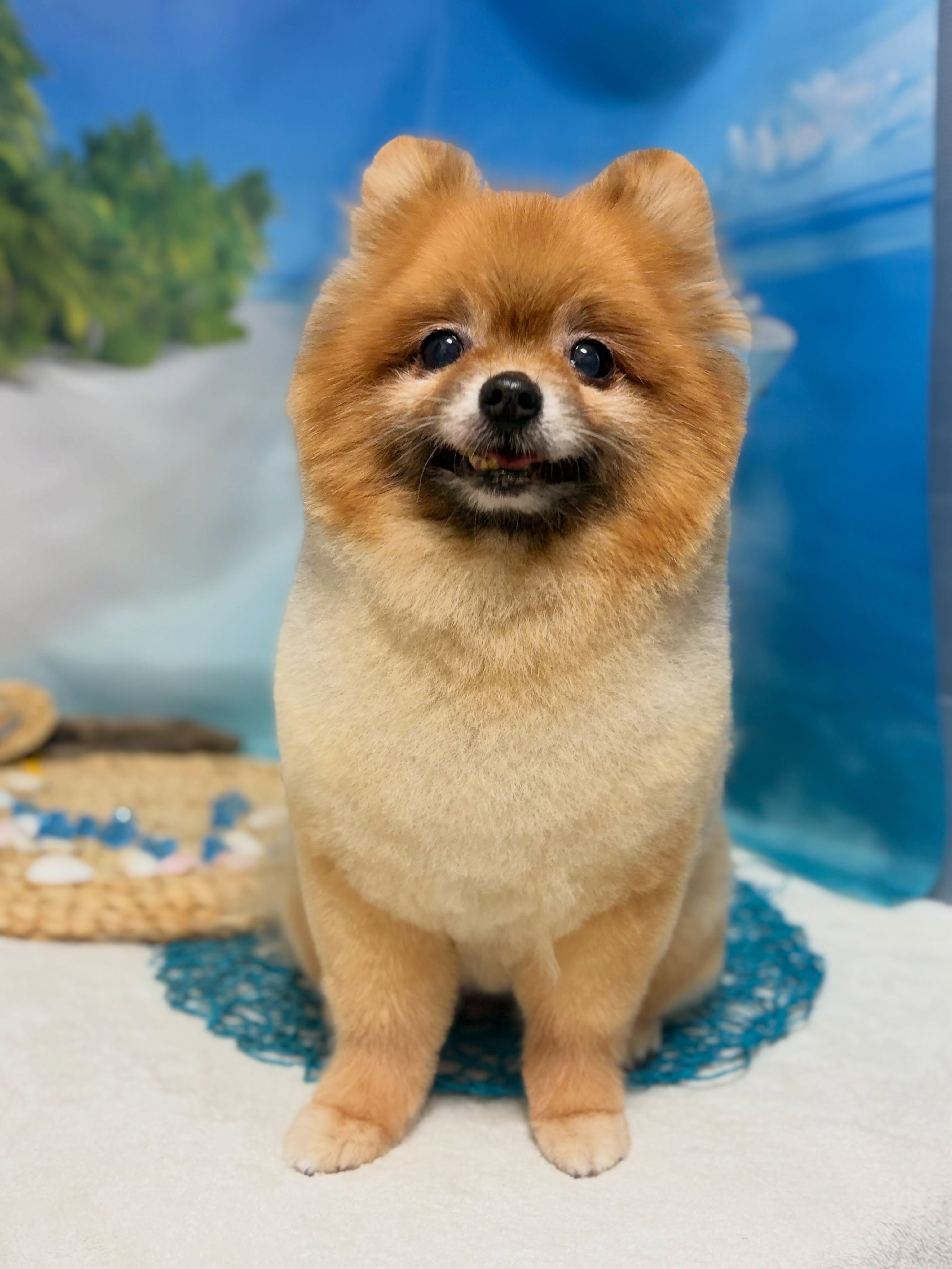 優しい笑顔のすずちゃん☺️