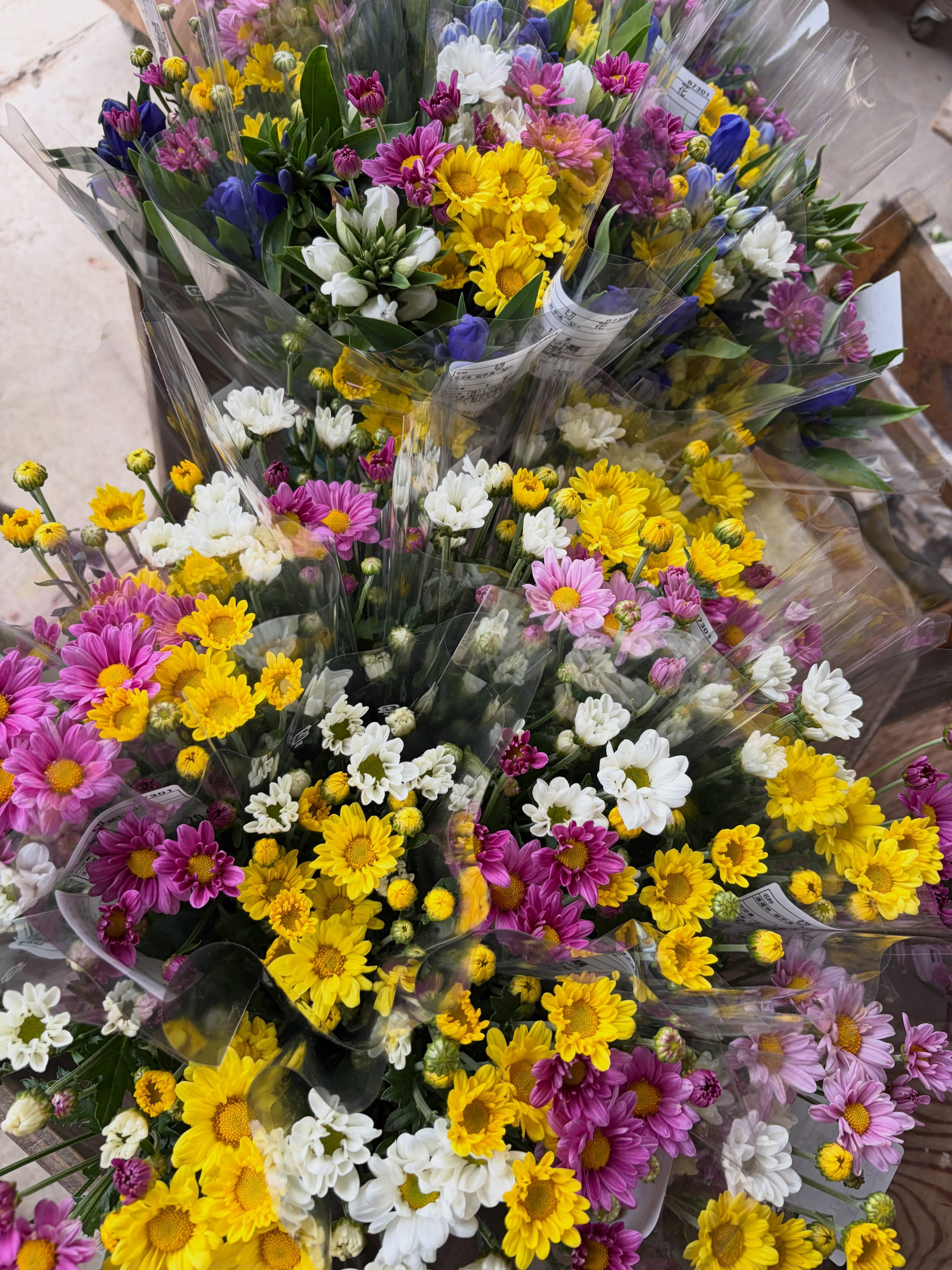日々の花束作り💐
りんどうが沢山咲き、小菊も咲いている今頃
近隣の店舗にも、花束を出店させていただいてます💐
りんどうって、種類によって
実は色も見た目も違っていて
なかなか面白いのです😊
菊も沢山の種類がありますよね!
花卉それぞれの出荷調整をしながら
花束作業をしていました🌼✨
お盆直前になると花束はピークです✨
近隣のみな様にも、当農園のお花を
楽しんでいただきたいです😊
#いやさか農園 #農業法人 #りんどう栽培 #小菊栽培 #花束
