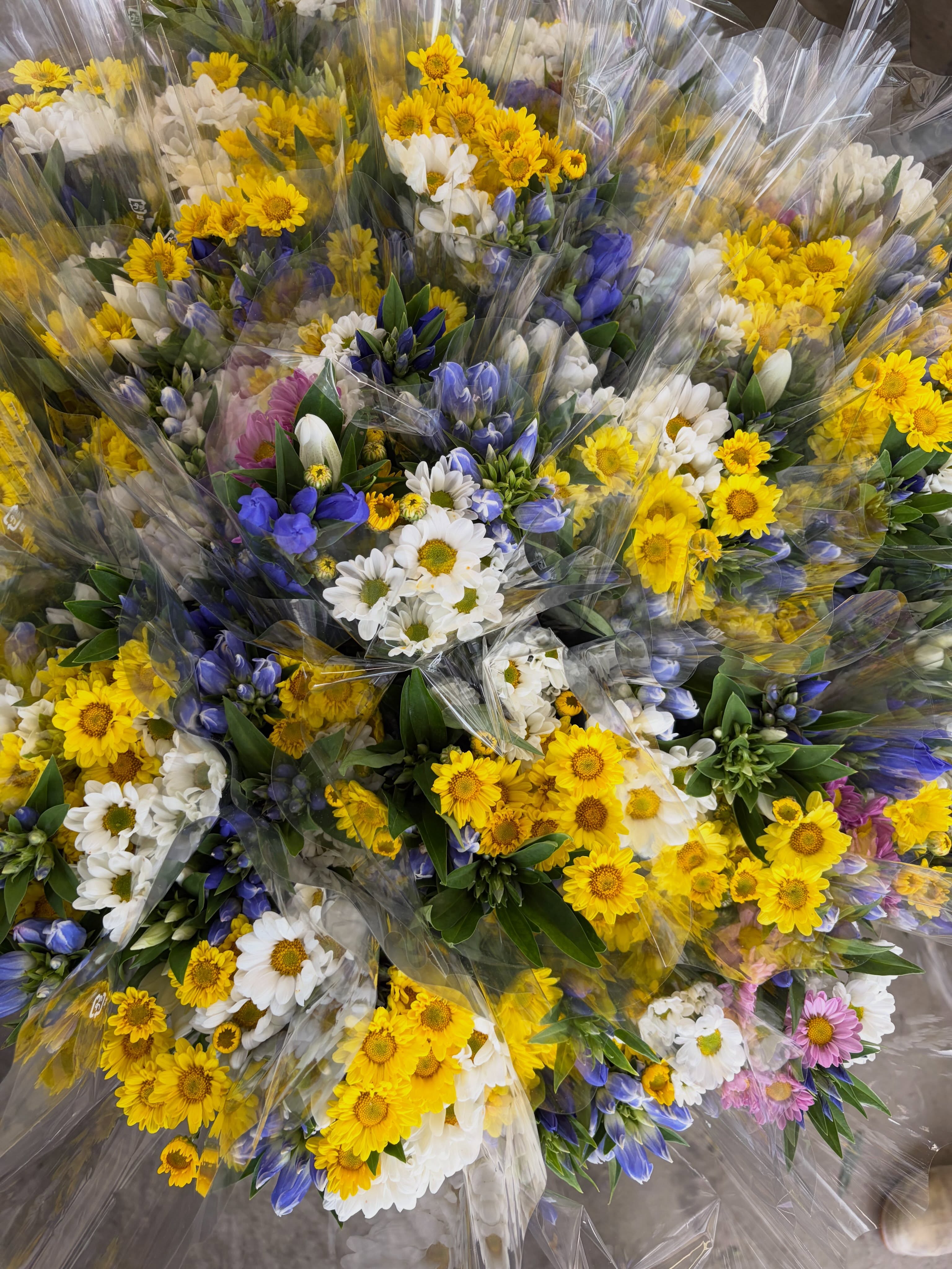 お盆の花束作り。
こちらは、りんどう出荷ピーク前から始まり
近くの店舗にて、販売していました。
おかげさまで、沢山のご購入をいただきました✨
早朝からご購入された方、毎年期待して下さる方
はたまた、弊社を知り来社してくれる常連様😌
花束作りもひと段落で、社内は一旦休息モードです。
交代で勤務をしながら、秋に向けて体勢を整えていきます😌
#いやさか農園 #農業法人 #りんどう栽培 #花卉栽培 #マイファンタジー