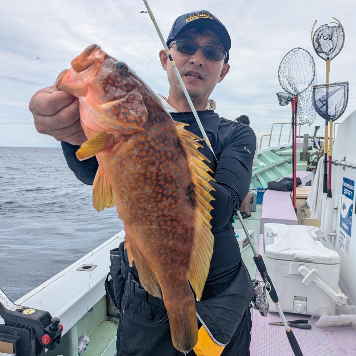 死にエサ便。
活きエサ調達出来ず、冷凍エサ使用しました。💦
ガシラは沢山、
なんとかアコウも20くらい釣れました😅🙇🏼
アコウ21匹
ガシラ48センチまでを126匹
他、イサキ、キントキ、アカイサキなども🙇🏼
#新幸丸
#根魚
#アコウ
#キジハタ
