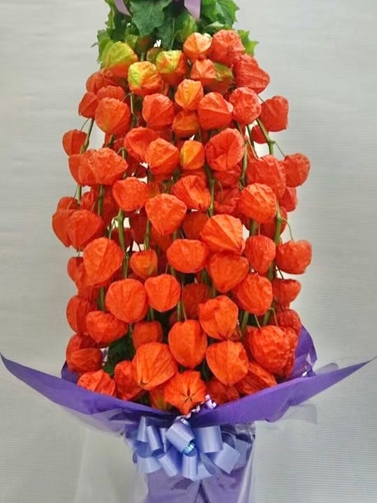 鬼灯タワー🧡🧡🧡🧡🧡🧡🧡🧡
#お花屋さん #大分花屋 #別府花屋 #ドライフラワー #ドライフラワーのある暮らし ドライフラワーブーケ ドライフラワーリース ブーケ リース ハーフリース ドライフラワースワッグ スワッグ 花束 アレンジ ryoフローリスト 花屋 ブライダル ブライダル装花 ウェディング ウェディング装花 ブライダルブーケ ウェディングブーケ 結婚式 大分 別府 ボタニカル 花のある暮らし いけこみの花 プリザーブドフラワー アートフラワー