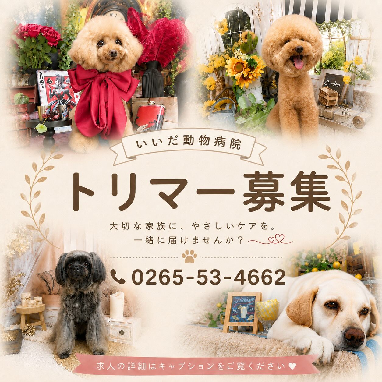 ✂️トリマーさん募集します✂️
いいだ動物病院で一緒に働いてくれる方を探しています♪
動物病院併設のトリミングサロンになります🐾🐾
【応募条件】
・トリミングの一通りの工程が1人で行える事
新卒生不可
・土日祝日も出勤していただける方
・明るく元気のある方!!
動物病院業務も行っていただきます🐶😺
トリミング技術だけでなく、自然と動物看護の知識も身に付きます‼️
『もっと成長したい!』
『動物が好き』
向上心のある方大歓迎します‼️
お問合せはDMもしくはお電話でお願いします🙇♂️
TEL📞0265-53-4662 谷口まで
よろしくお願いします🐾🐾🐾
#飯田市#求人#トリマー募集#トリミング#動物病院