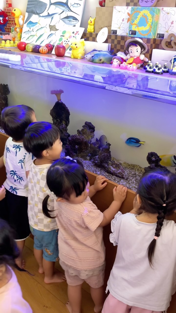 てまり水族館は連日盛況なり
#アクアリウム #熱帯魚 #水槽 #2歳 #3歳