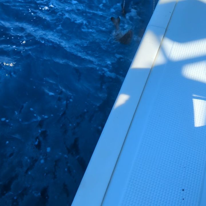 アラ狙い。
65センチまでを15本。
デカイのが釣れたと思ったらサメでした💦
朝はマフグがよくアタリました。🙇🏼
皆さん釣れて良かったです⤴️⤴️
他、カレイ、ソイ、沖メバルなども🙇🏼
#新幸丸
#アラ狙い
#中深海
#根魚
