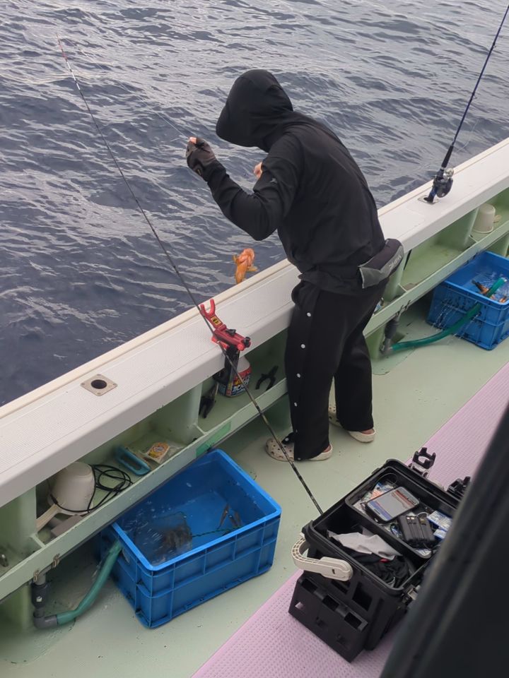 活きエサ便。
ガシラ少なくアコウは良く釣れました⤴️
アコウ26〜49センチ99匹
ガシラ僅か🙇🏼
リリースまありがとうございます🙇🏼
#新幸丸
#活きエサ
#根魚
#アコウ
#キジハタ