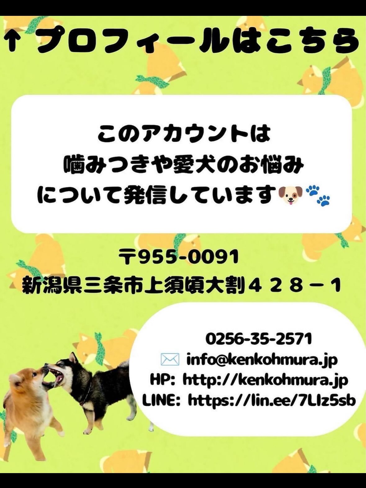 マルちゃん🐶
本日も朝から夕方までずーっとワンプロに追いかけっこに走り回ったりと大はしゃぎの一日でした🤣
何をしていても楽しそうな可愛い表情で本日も駆け巡っていました😍
🐾🐶愛犬のお悩みご相談ください🐶🐾
@kenkohmura_official
↑フォロー待ってます↑
〒955-0091 新潟県三条市上須頃大割428−1
☎︎ 0256-35-2571
✉️ info@kenkohmura.jp
HP: http://kenkohmura.jp
LINE: https://lin.ee/7LIz5sb
#犬幸村#犬の幼稚園 #吠える、噛む #犬のしつけ #トイレ
シーズーシーズー可愛いシーズー大好きシーズー倶楽部シーズー可愛いすぎる