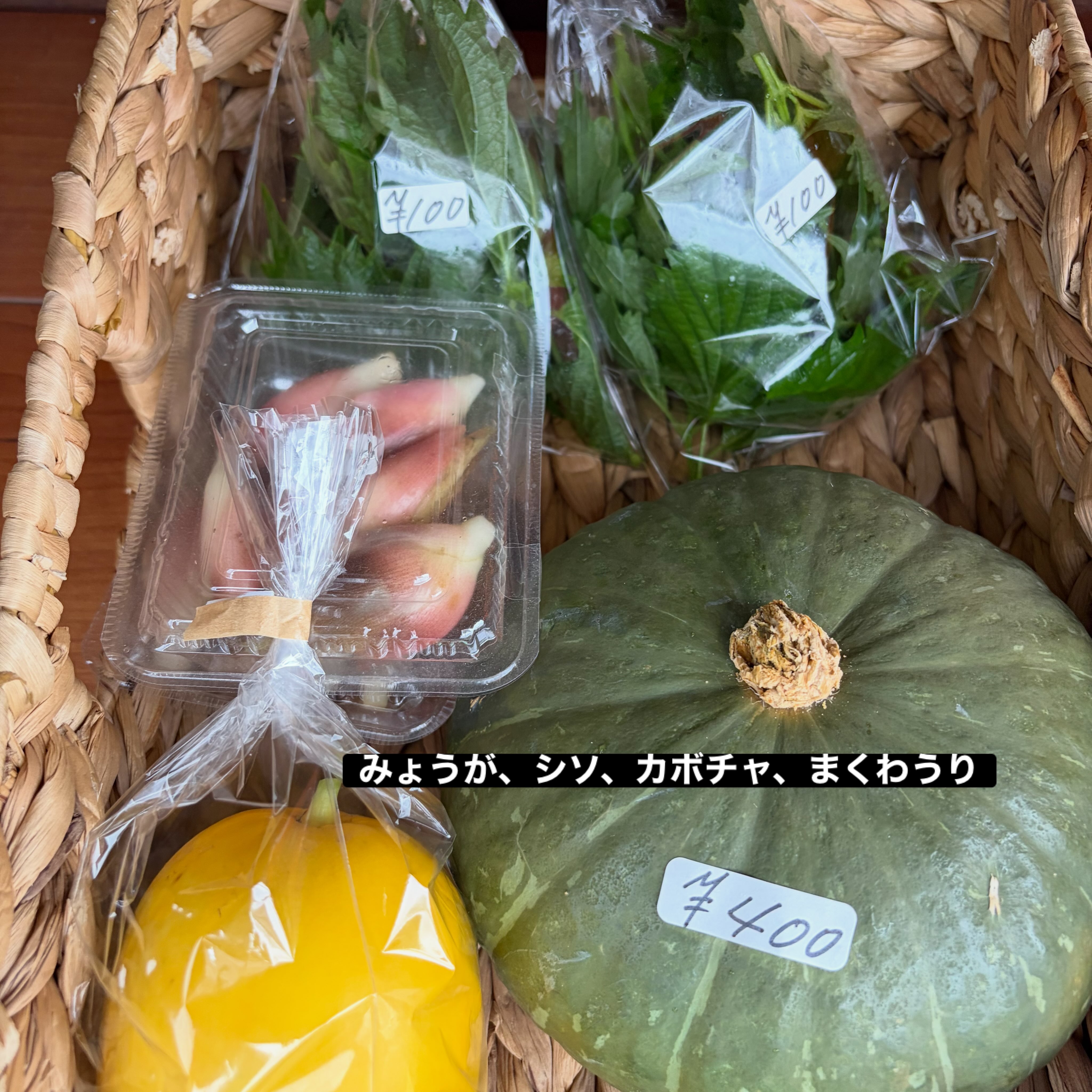 こんにちは😊
コロン’sファームです🌱
今日は雨ですね☔️
足元の悪い中ですが、無人販売所オープンしています♪
今日はナス、ピーマン、万願寺とうがらしなどの夏野菜に加えて、かぼちゃ・みょうが・大葉も並んでいます🎃🌿
少しずつ夏野菜から秋の野菜へ🍂
季節の移り変わりを感じる売り場になってきました😊
お越しの際は足元にお気をつけくださいね♪
#コロンズファーム #南丹市 #無人販売所 #採れたて野菜 #農家直売