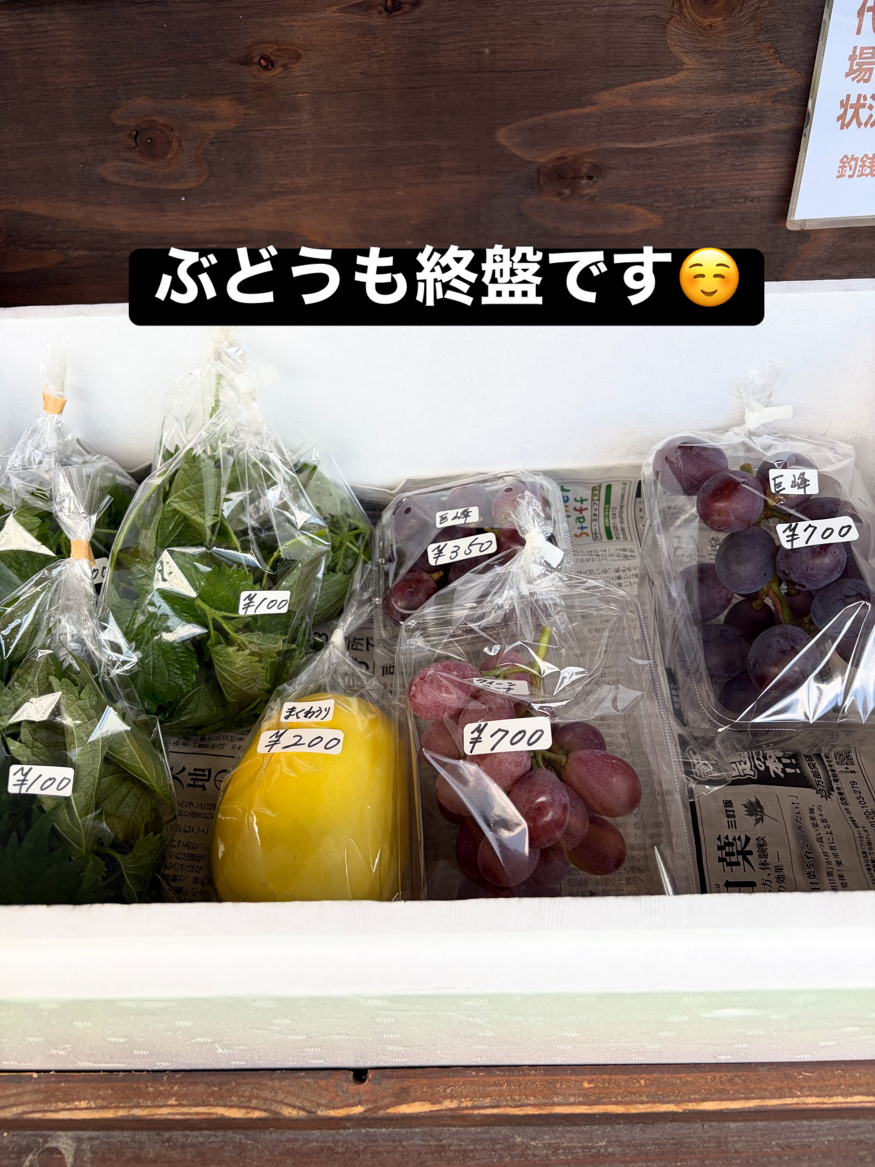 おはようございます😊
コロン’sファームです🌱
今日は久しぶりに青空が見れました☀️
やっぱり晴れ間が見えると気持ちいいですね♪
本日も無人販売所には、ナス・万願寺とうがらしなどの夏野菜に、かぼちゃやバターナッツも並んでいます🎃
ぶどうは巨峰やクイーンニーナ🍇
大葉やまくわうりもありますよ😊
今日もよろしくお願いします✨
#コロンズファーム #南丹市 #無人販売所 #採れたて野菜 #農家直売